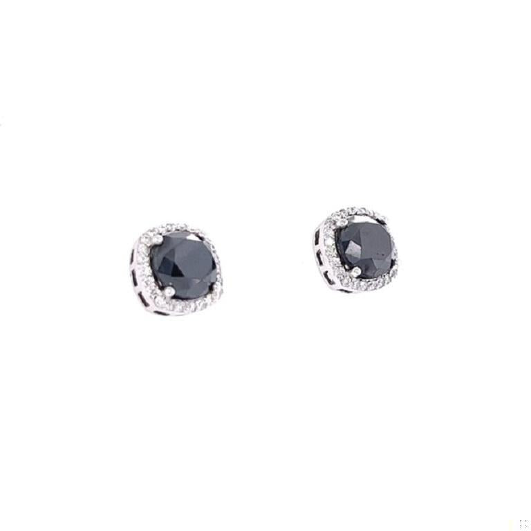 5.92 Carat Black Diamond White Diamond 14 Karat White Gold Stud Earrings