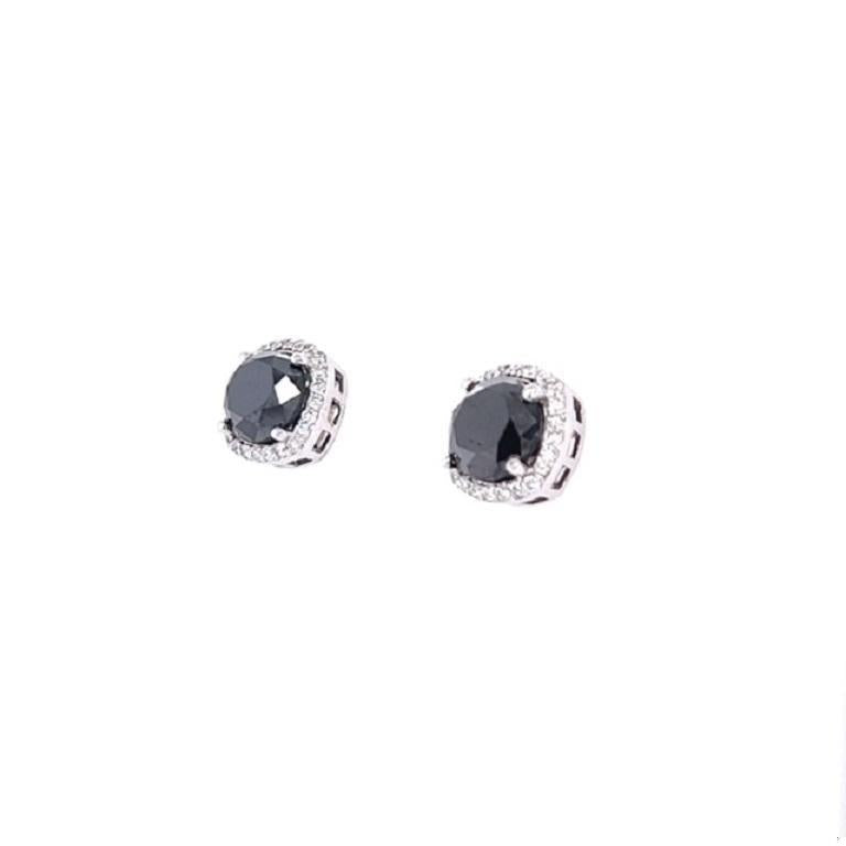 5.92 Carat Black Diamond White Diamond 14 Karat White Gold Stud Earrings