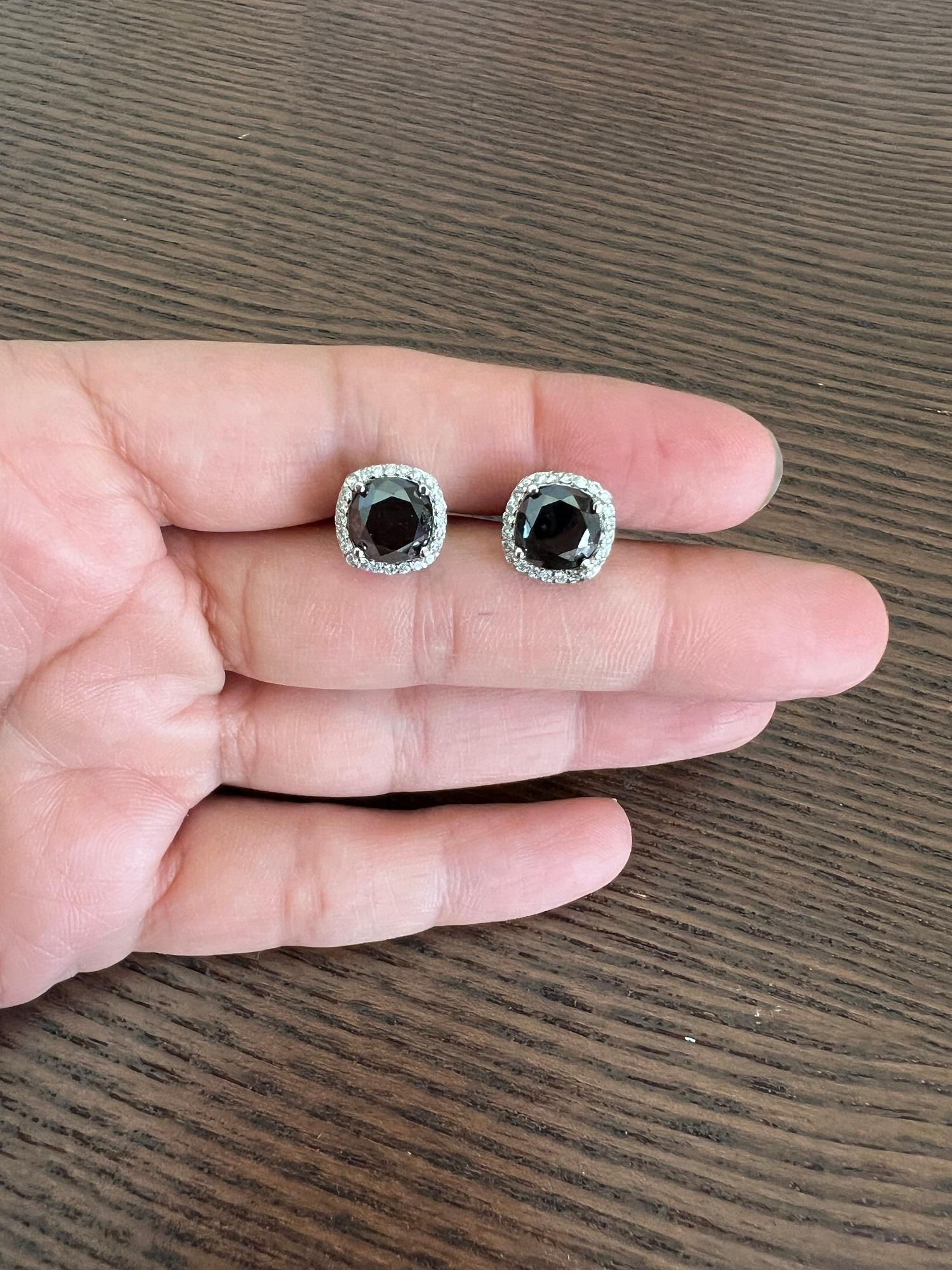 5.92 Carat Black Diamond White Diamond 14 Karat White Gold Stud Earrings